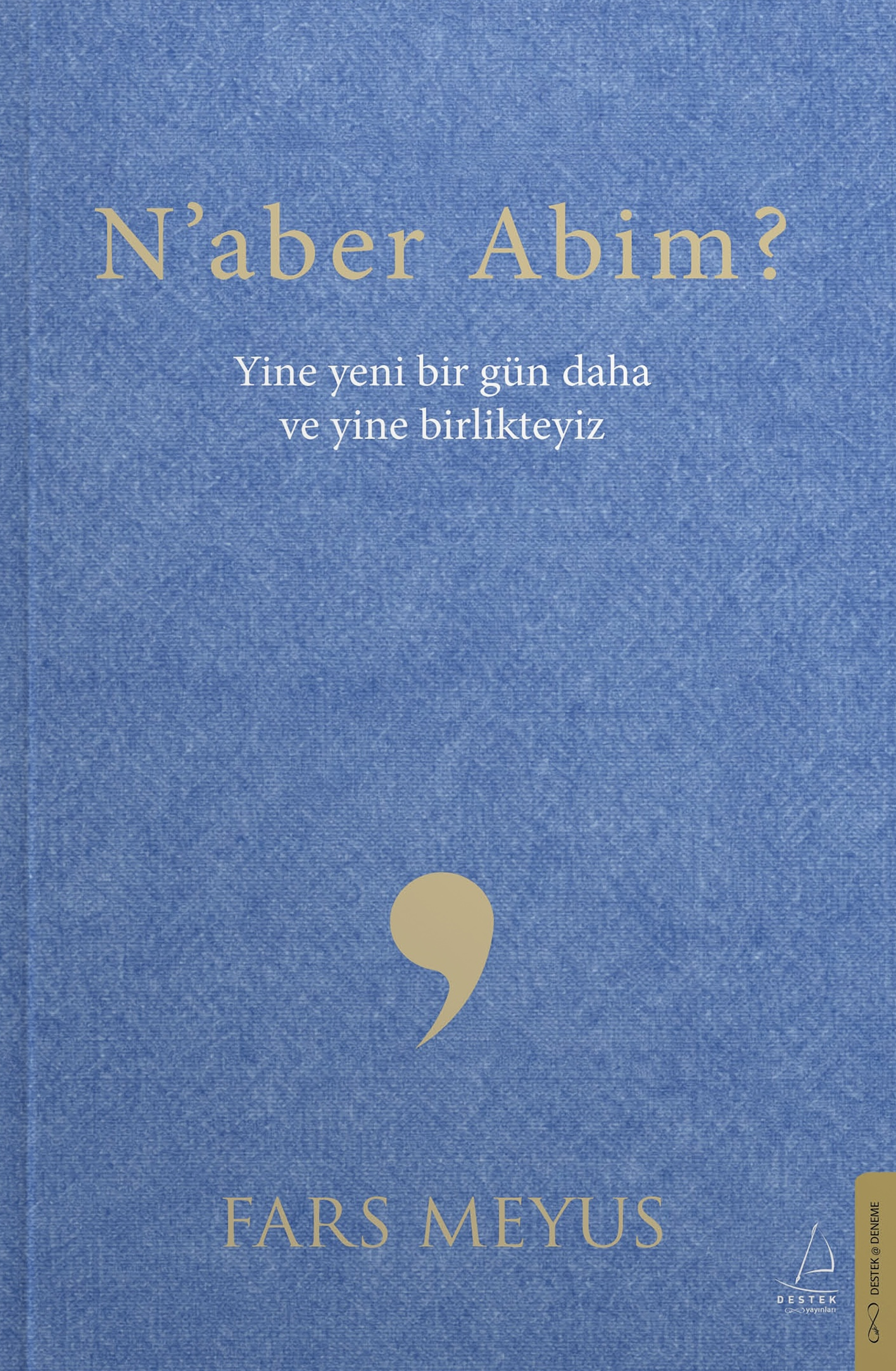 Naber Abim? Kitap Kapağı - Fars Meyus